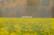 Sanctification