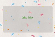 Calix, Calyx