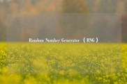 Random Number Generator （RNG）