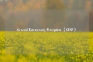 General Extrasensory Perception （GESP）