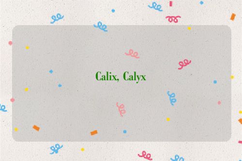 Calix, Calyx