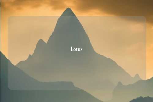 Lotus