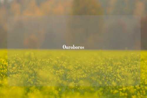 Ouroboros